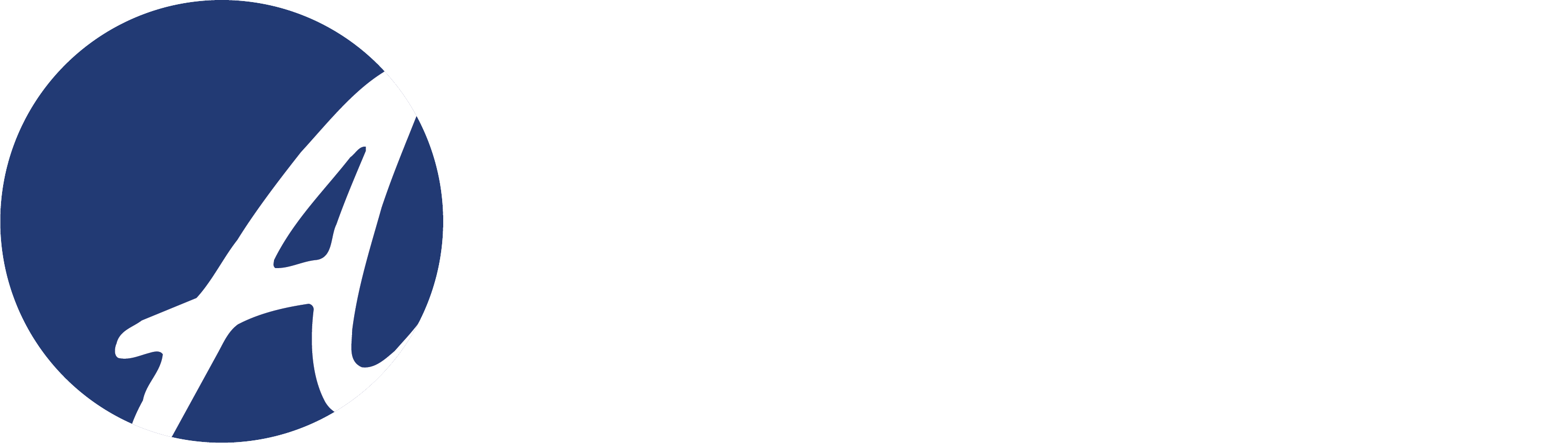 action-benefits-insurance-agency